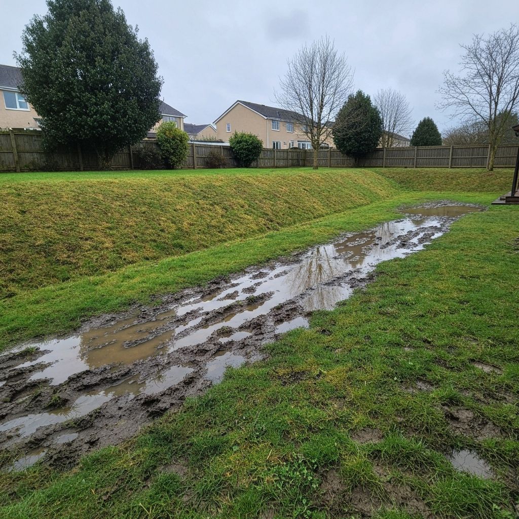 Backyard Drainage Solution - Before